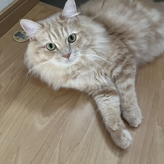 好奇心旺盛で活発な男の子