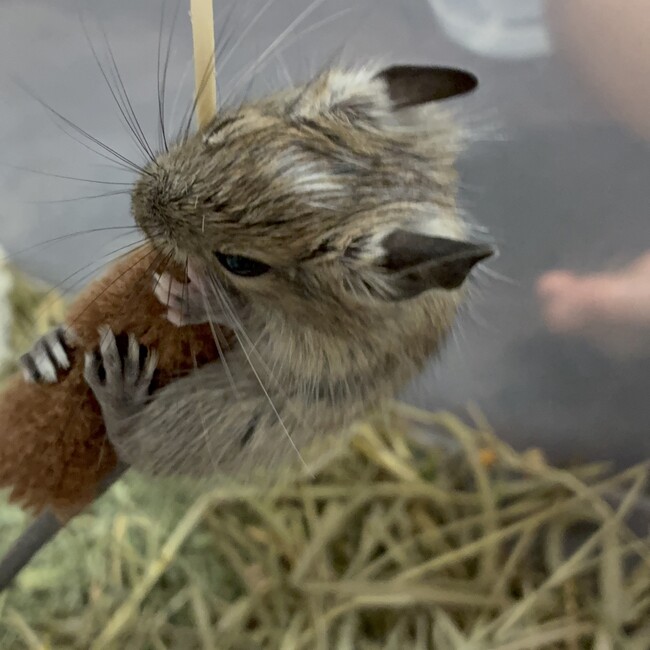 ayamama1230のカバー写真