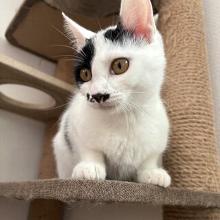 かわいいテンちゃん❣️