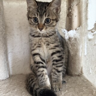 かわいいビビちゃん❣️