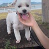 いとらぶ