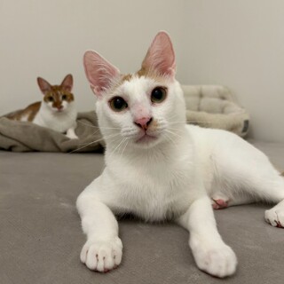 ゴミ屋敷で1ヶ月放置され生き残った子
