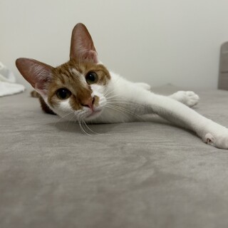 ゴミ屋敷で1ヶ月放置され生き残った子