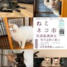 ねこネコ市