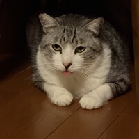 カイ（界）