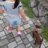 にゃにゃちちゃ