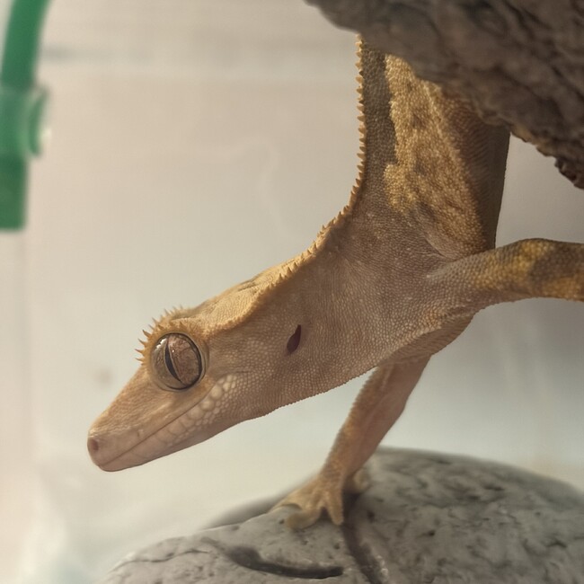 はまちくんのカバー写真