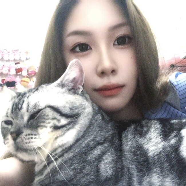 ももしゃたのカバー写真