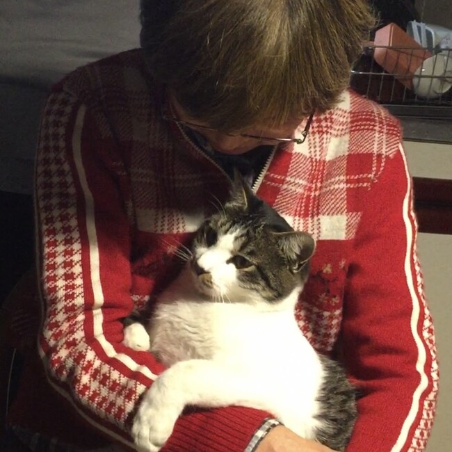 mumu_inuのカバー写真