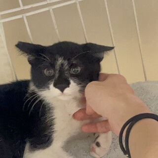 遊ぶの上手❤️いっぱい食べるよ