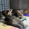 2人でウトウト…