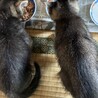 たくさん食べて大きくなってね！