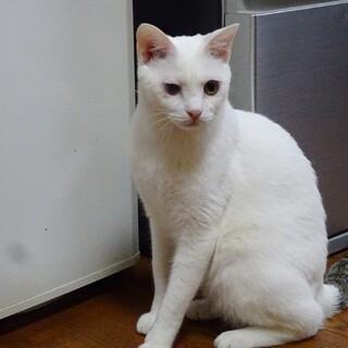 見た目はこんな僕だけど愛嬌いっぱい❣️