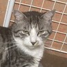すぴらー