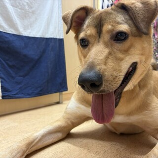 キュッキュちゃん　推定２才　男の子