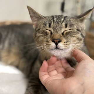人馴れバッチリ！甘えん坊すぎるかつおくん