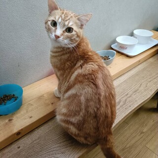 イケメン大食いボーイ✨ポン吉