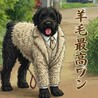 小宮船長