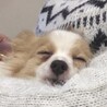らーりん