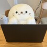 いけだ1212