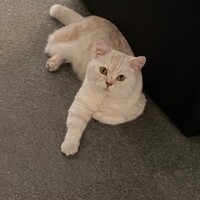ろく