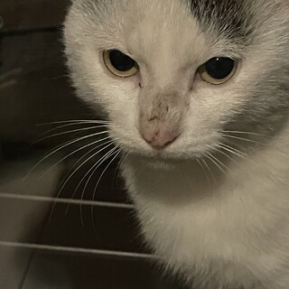 助けて欲しい