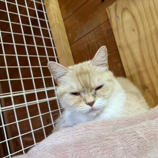 おっとりマイペースなうめちゃん
