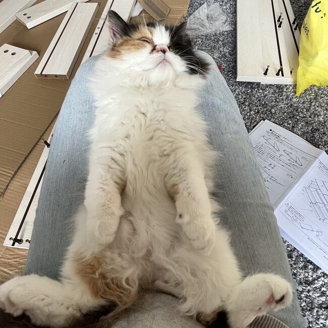 FUUU@のカバー写真