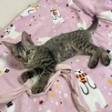 遊ぶの大好き！やんちゃで可愛い男の子♡