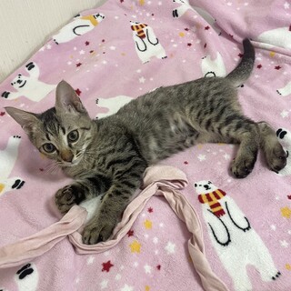 遊ぶの大好き！やんちゃで可愛い男の子♡