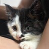 ゆにっと