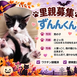 へその緒が付いて保護されたずんくん