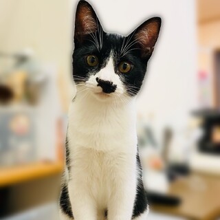 とにかく元気印のやんちゃっ子！！【香芝市】