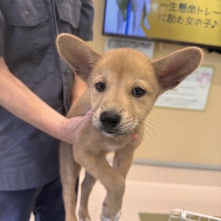 ねむ