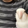 ノブイズ