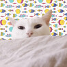 あめほし