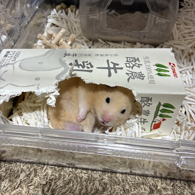 ななぴろのカバー写真