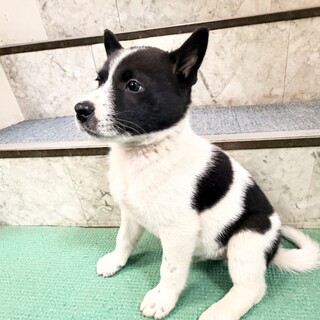 9月初旬生まれ　3.4キロ　明るい男の子