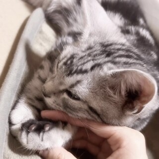 愛知で受け渡しできる方