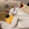 ごろぬん