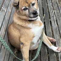 りゅうた